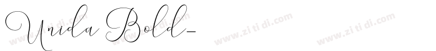 Unida Bold字体转换